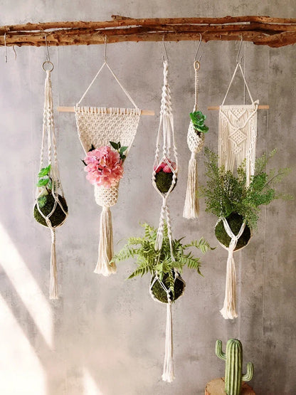 Plant Hanging Basket