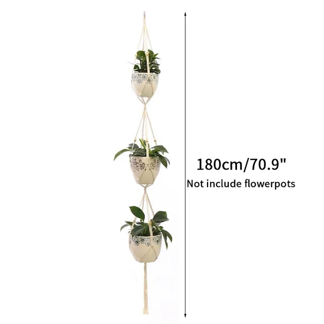 Plant Hanging Basket