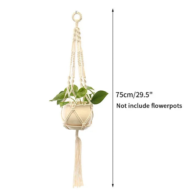 Plant Hanging Basket