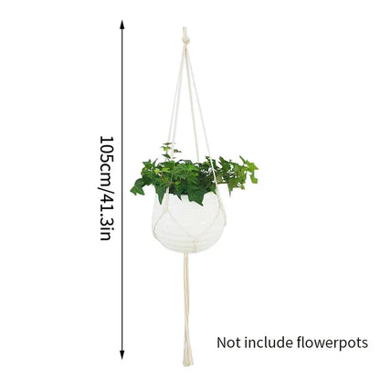 Plant Hanging Basket