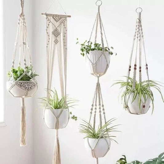 Plant Hanging Basket